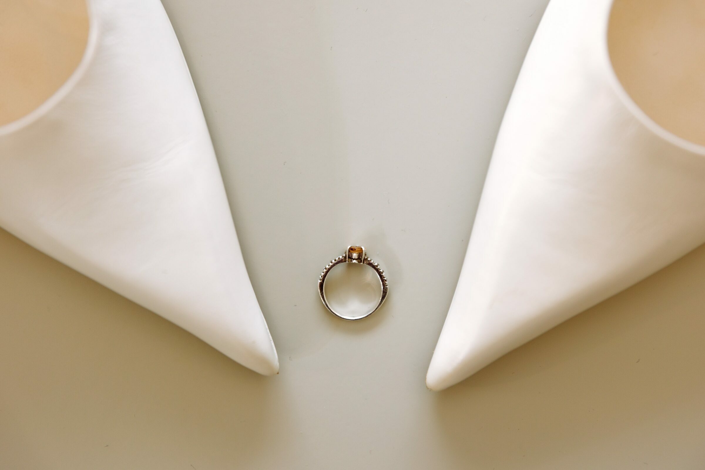 Foto de Young Folk 17