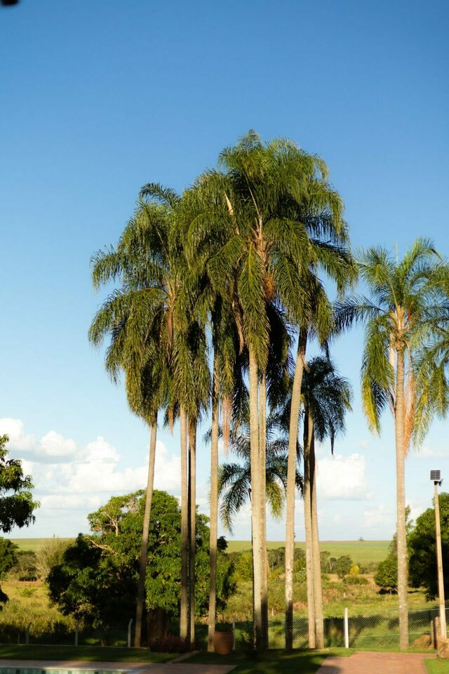 Pré-Wedding | Bruna e Gabriel